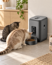 Automatic Cat Feeder Pienza — shown at home with cats