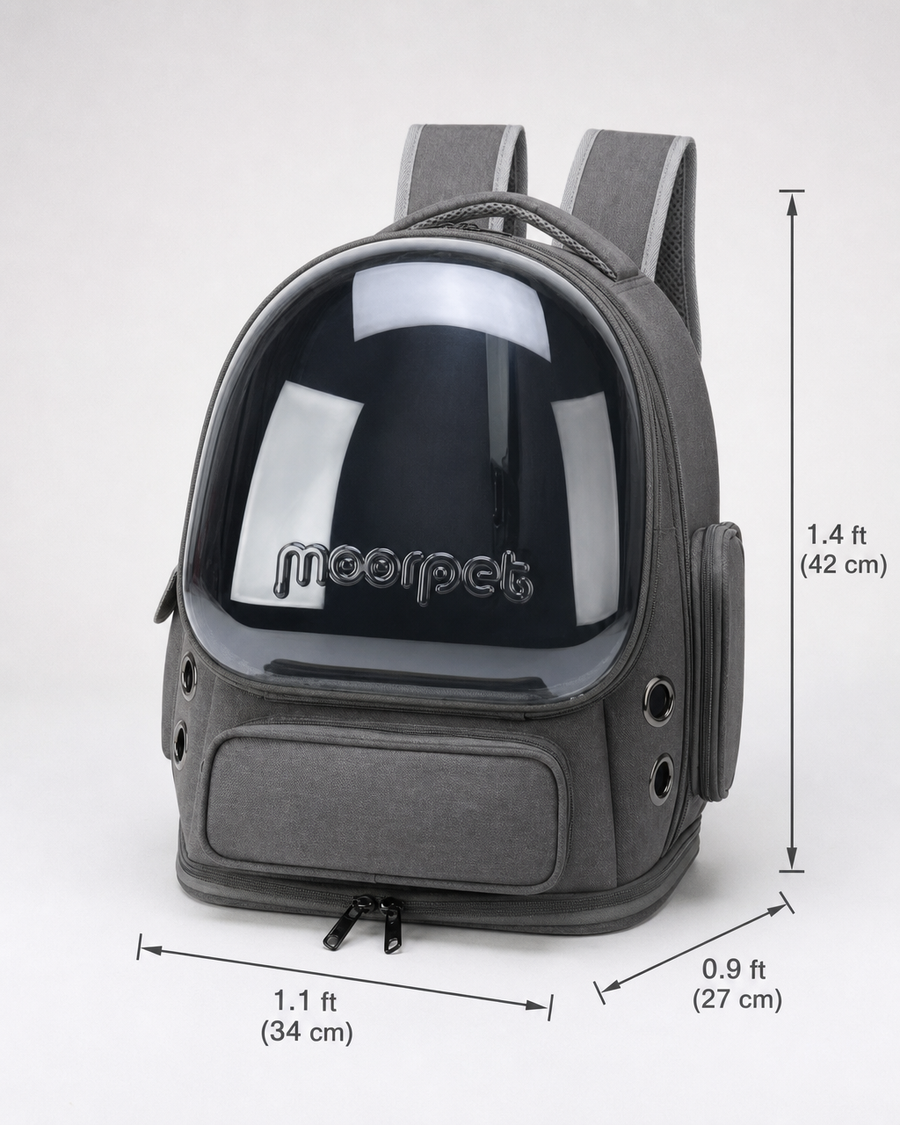 Bubble Cat Backpack Anzio — with dimensions in cm