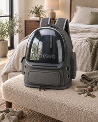 Bubble Cat Backpack Anzio — shown in a living room