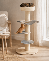 Cat Tree Alba — shown at home with cats